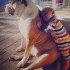 25 причин, почему детям нужны домашние животные - Туристическая фирма Екатеринбурга | Турфирма в Екатеринбурге