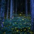 Светлячки в лесах Японии (21 фото) - Туристическая фирма Екатеринбурга | Турфирма в Екатеринбурге
